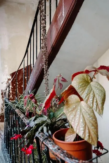 Charming Paris Hideaway Daire